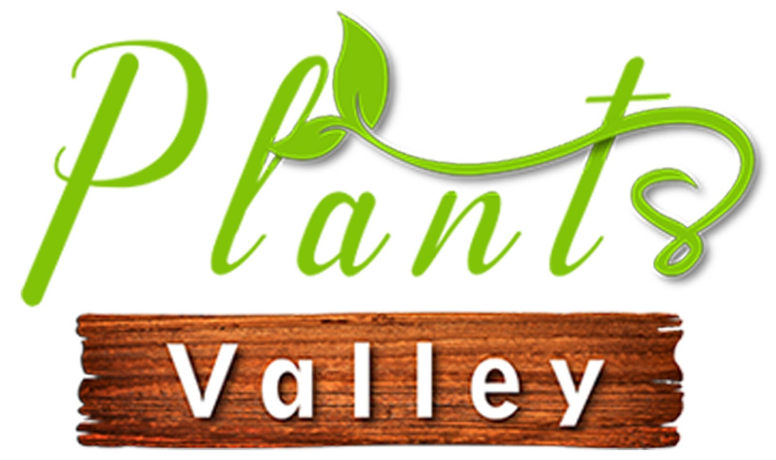 Plants Valley